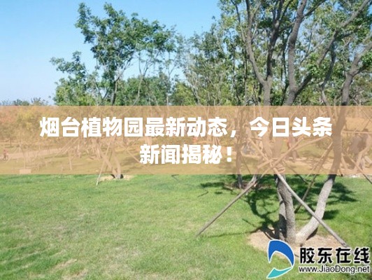 煙臺植物園最新動態,今日頭條新聞揭秘!