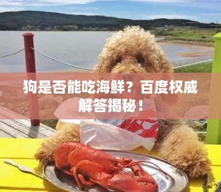 狗是否能吃海鮮?百度權威解答揭秘!