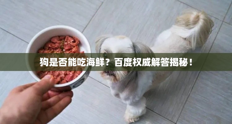 狗是否能吃海鮮?百度權威解答揭秘!