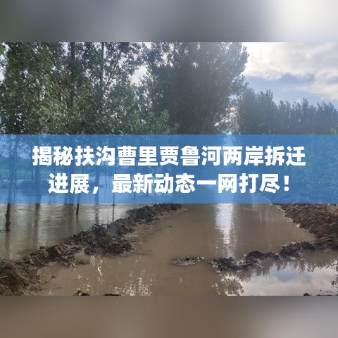 揭秘扶溝曹里賈魯河兩岸拆遷進展,最新動態一網打盡!