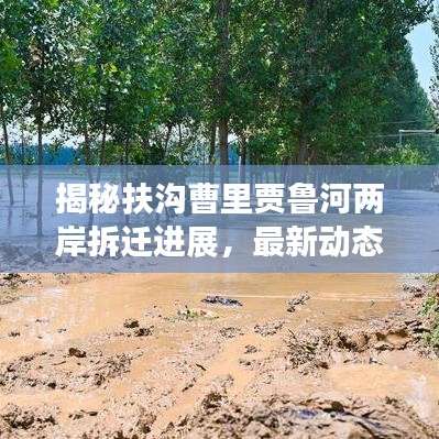 揭秘扶溝曹里賈魯河兩岸拆遷進展,最新動態(tài)一網(wǎng)打盡!