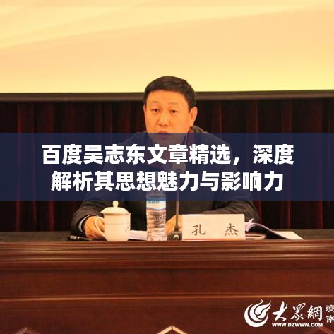 百度吳志東文章精選,深度解析其思想魅力與影響力