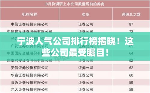 寧波人氣公司排行榜揭曉!這些公司最受矚目!