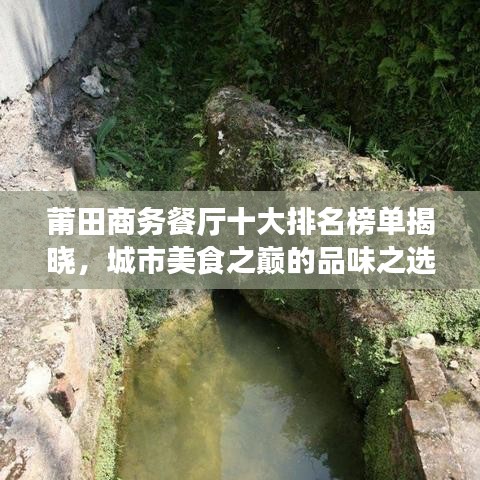 莆田商務餐廳十大排名榜單揭曉,城市美食之巔的品味之選