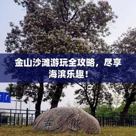 金山沙灘游玩全攻略,盡享海濱樂趣!