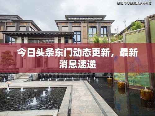 今日頭條東門動態更新,最新消息速遞
