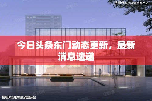 今日頭條東門動態(tài)更新，最新消息速遞