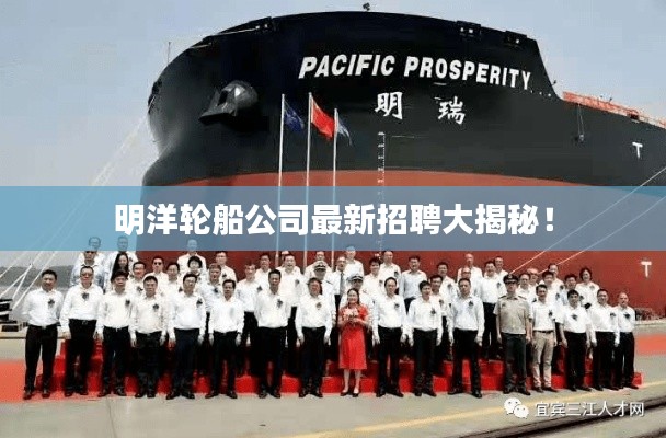 明洋輪船公司最新招聘大揭秘!