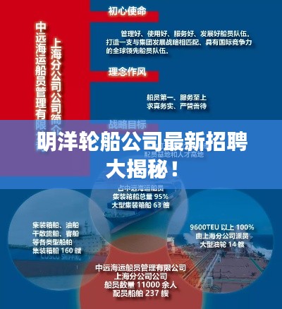 明洋輪船公司最新招聘大揭秘!