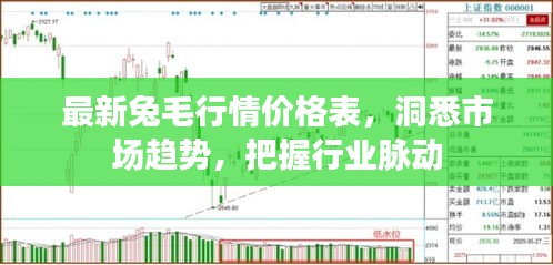 最新兔毛行情價格表,洞悉市場趨勢,把握行業(yè)脈動