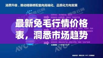 最新兔毛行情價(jià)格表,洞悉市場趨勢,把握行業(yè)脈動