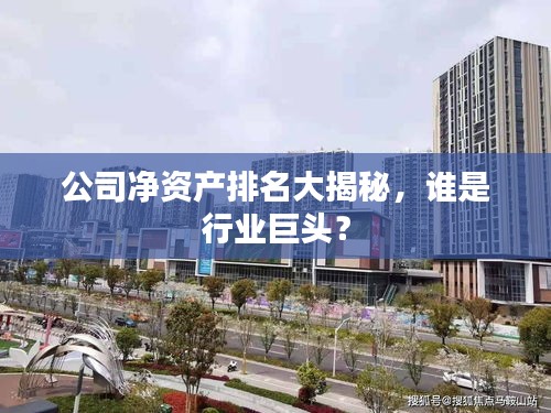 公司凈資產排名大揭秘,誰是行業巨頭?