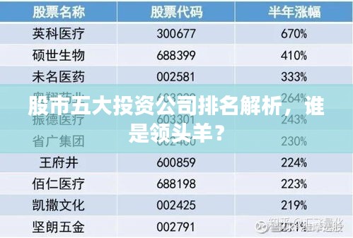 股市五大投資公司排名解析,誰是領頭羊?