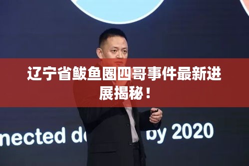 遼寧省鲅魚圈四哥事件最新進(jìn)展揭秘!