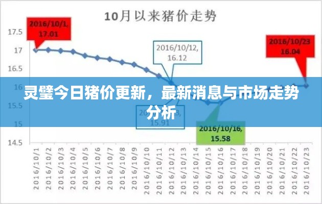 靈璧今日豬價(jià)更新,最新消息與市場(chǎng)走勢(shì)分析