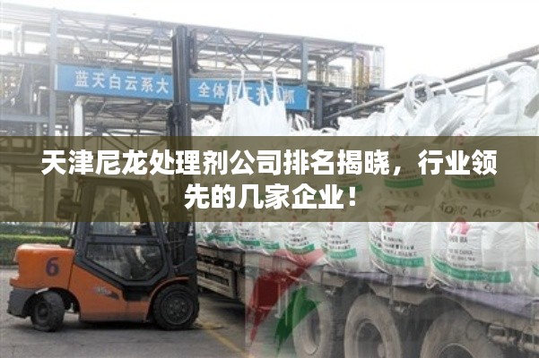 天津尼龍?zhí)幚韯┕九琶視裕袠I(yè)領(lǐng)先的幾家企業(yè)！