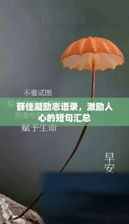 薛佳凝勵志語錄，激勵人心的短句匯總