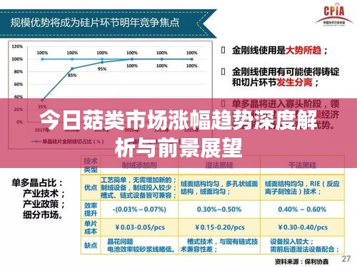 今日菇類市場漲幅趨勢深度解析與前景展望