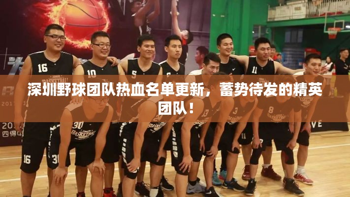 深圳野球團隊熱血名單更新,蓄勢待發的精英團隊!