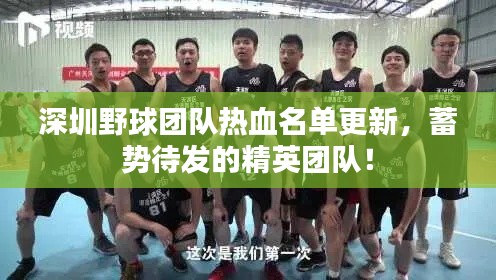 深圳野球團隊熱血名單更新,蓄勢待發的精英團隊!