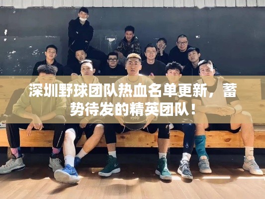 深圳野球團隊熱血名單更新,蓄勢待發的精英團隊!
