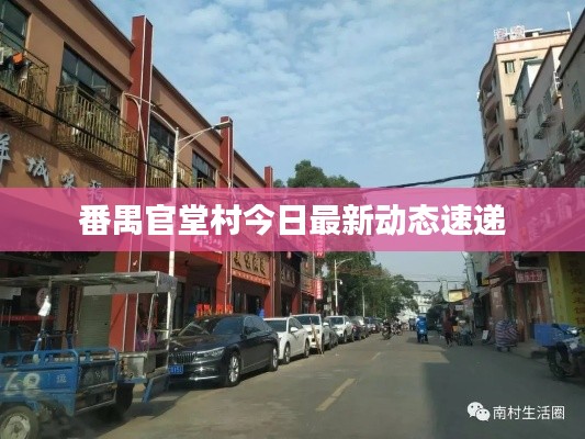 番禺官堂村今日最新動態(tài)速遞