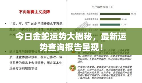 今日金蛇運勢大揭秘,最新運勢查詢報告呈現!