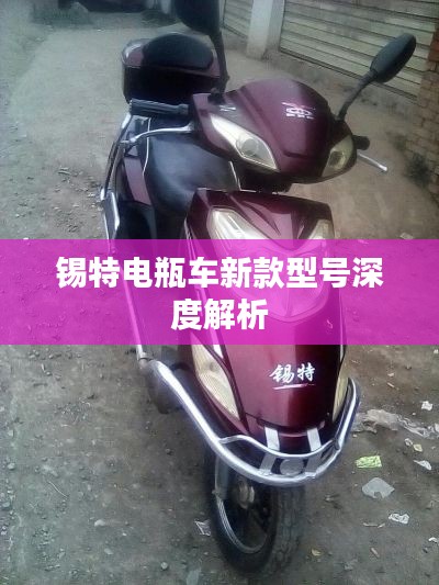 錫特電瓶車新款型號深度解析