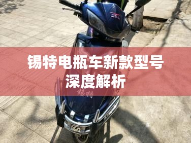 錫特電瓶車新款型號深度解析