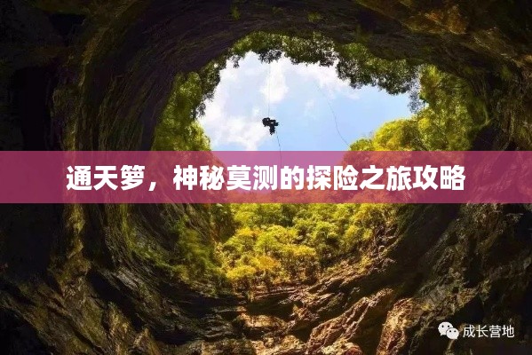 通天籮,神秘莫測的探險之旅攻略