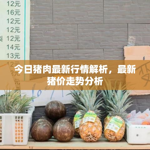 今日豬肉最新行情解析,最新豬價走勢分析