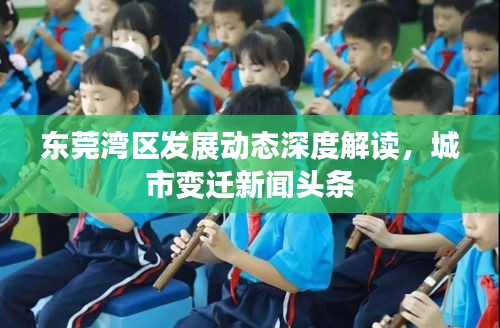 東莞灣區發展動態深度解讀,城市變遷新聞頭條