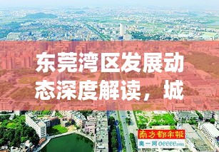 東莞灣區發展動態深度解讀,城市變遷新聞頭條