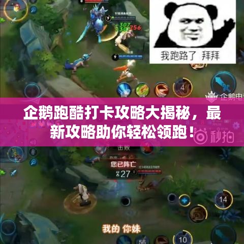 企鵝跑酷打卡攻略大揭秘,最新攻略助你輕松領跑!