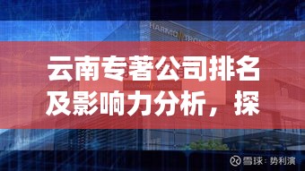 云南專著公司排名及影響力分析,探尋行業領軍者之路