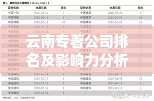 云南專著公司排名及影響力分析,探尋行業領軍者之路