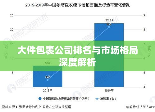大件包裹公司排名與市場格局深度解析