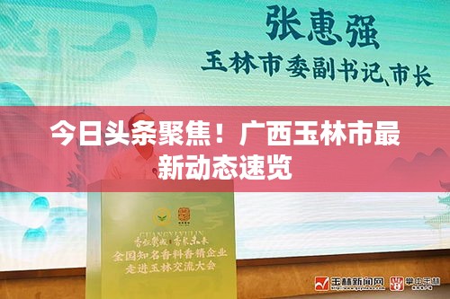 今日頭條聚焦!廣西玉林市最新動態(tài)速覽