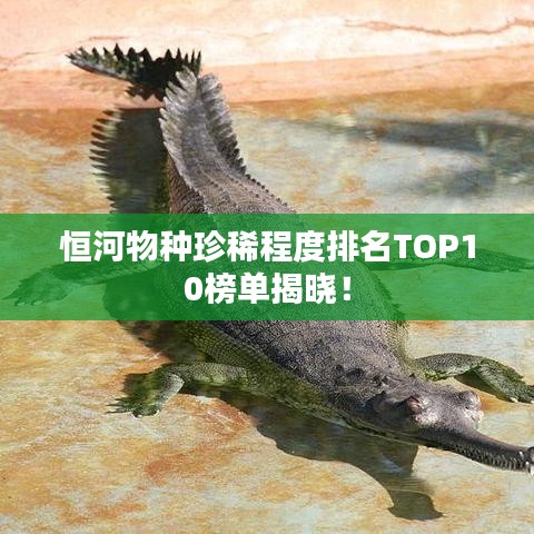 恒河物種珍稀程度排名TOP10榜單揭曉!