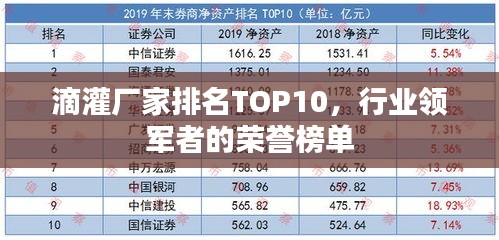 滴灌廠家排名TOP10，行業(yè)領(lǐng)軍者的榮譽榜單