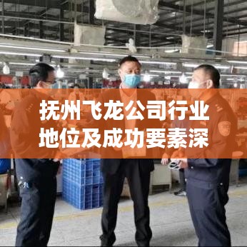 撫州飛龍公司行業地位及成功要素深度解析