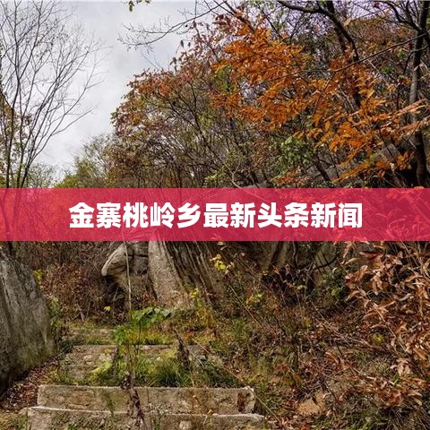 金寨桃嶺鄉最新頭條新聞