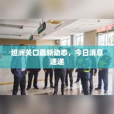 坦洲關口最新動態,今日消息速遞