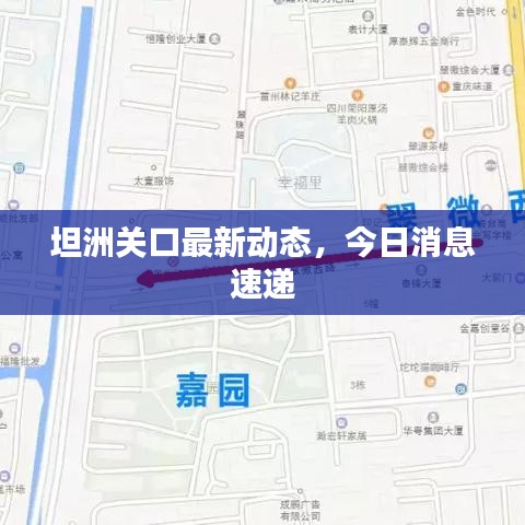 坦洲關口最新動態,今日消息速遞