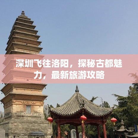 深圳飛往洛陽,探秘古都魅力,最新旅游攻略