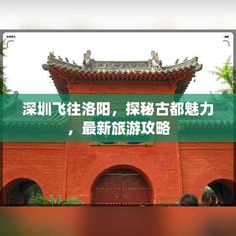 深圳飛往洛陽(yáng),探秘古都魅力,最新旅游攻略