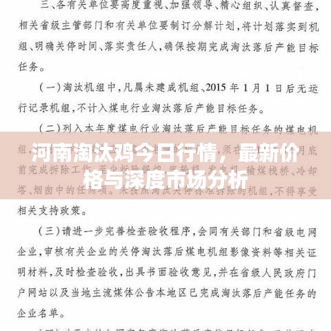 河南淘汰雞今日行情,最新價格與深度市場分析