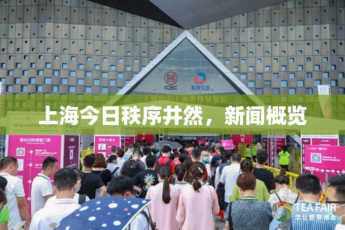 上海今日秩序井然,新聞概覽