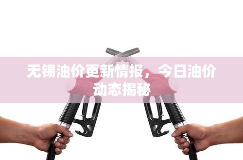 無錫油價更新情報，今日油價動態(tài)揭秘