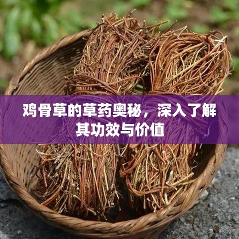 骨瘦如柴 第3頁
